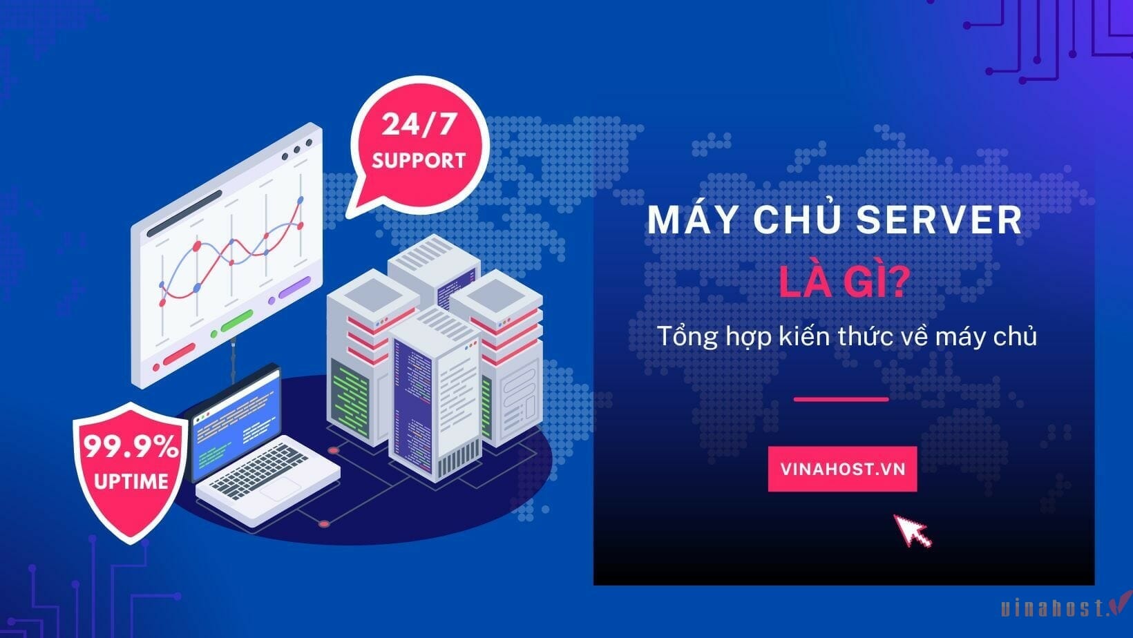 may chu server vinahost